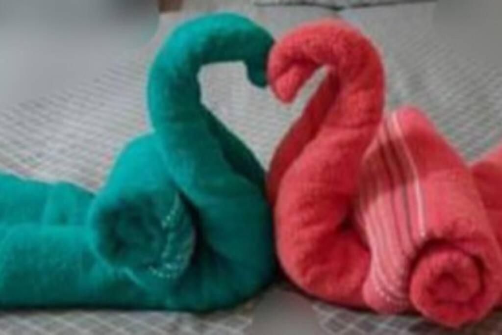 Appartement LA TOMETTE Entre Terre et Mer 2 étoiles à Maury Extérieur photo